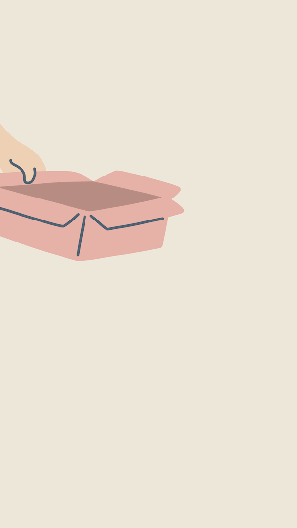 Cat and Box Animation - Haruno Ito